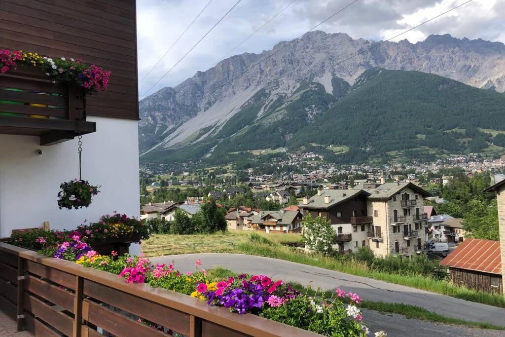 Appartamento A Due Passi Da Bormio Valdisotto Exterior photo